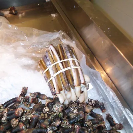 דירה Casa Con Vistas Al Mar *